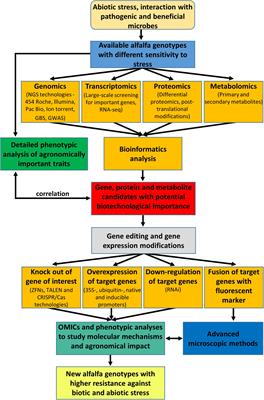Biotechnological Perspectives of Omics and Genetic Engineering Methods in Alfalfa